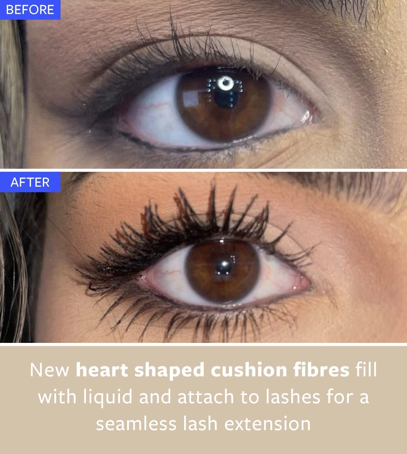BLUR & LASH BUNDLE Freezeframe